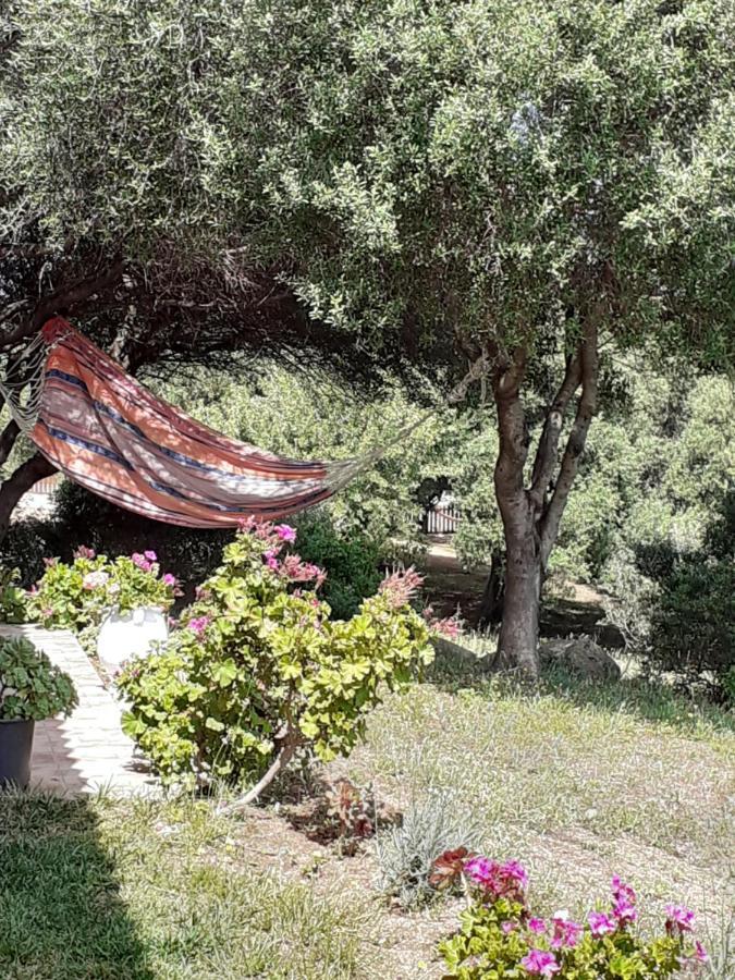 Agriturismo Gli Olivastri -Appartamento Bel Vedere Con Piscina ,Solarium E Vista Mare,Climatizzatore ,Wifi Алиенту Екстериор снимка