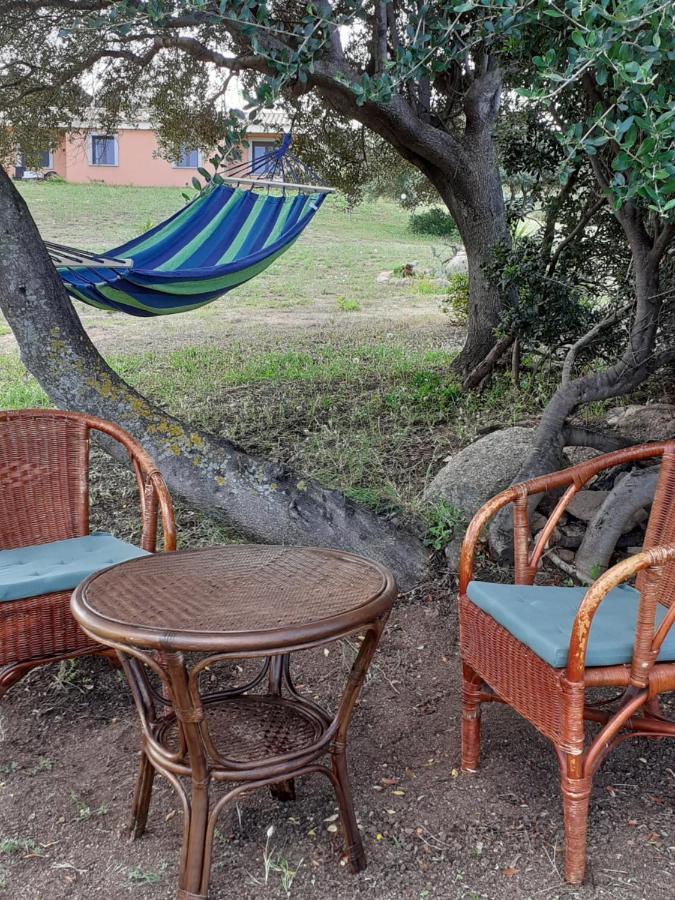 Agriturismo Gli Olivastri -Appartamento Bel Vedere Con Piscina ,Solarium E Vista Mare,Climatizzatore ,Wifi Алиенту Екстериор снимка