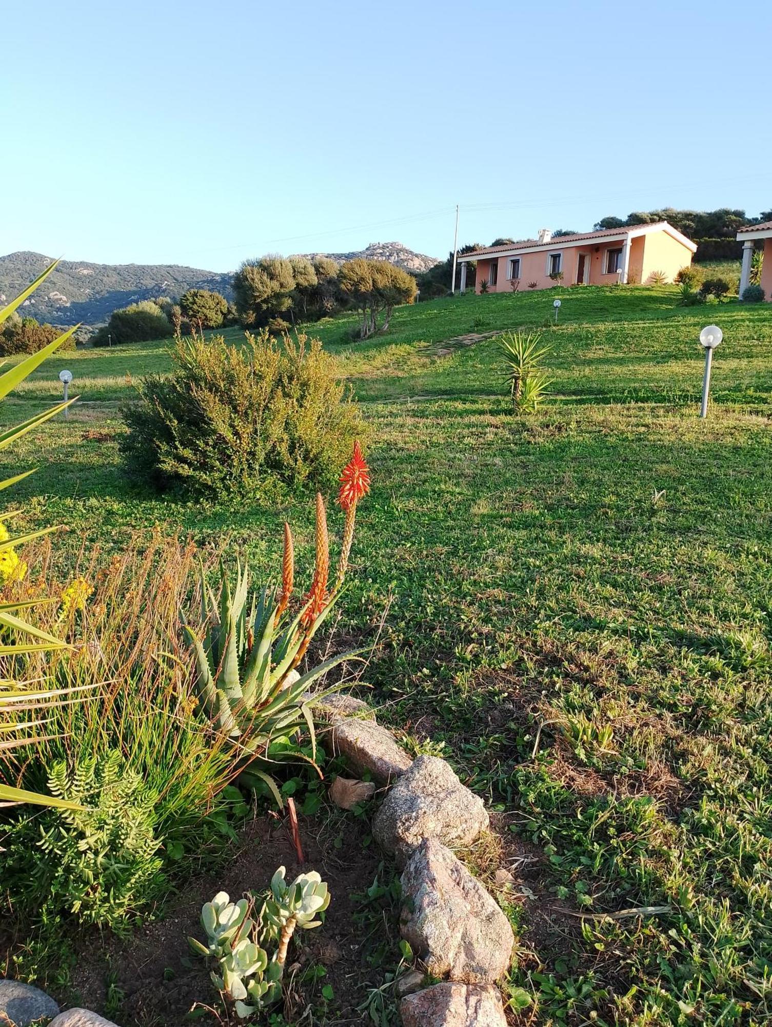Agriturismo Gli Olivastri -Appartamento Bel Vedere Con Piscina ,Solarium E Vista Mare,Climatizzatore ,Wifi Алиенту Екстериор снимка